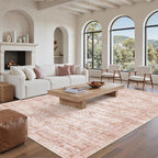 Vintage beige living room rug