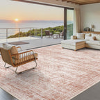 Vintage beige living room rug