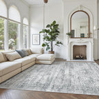 Vintage beige living room rug