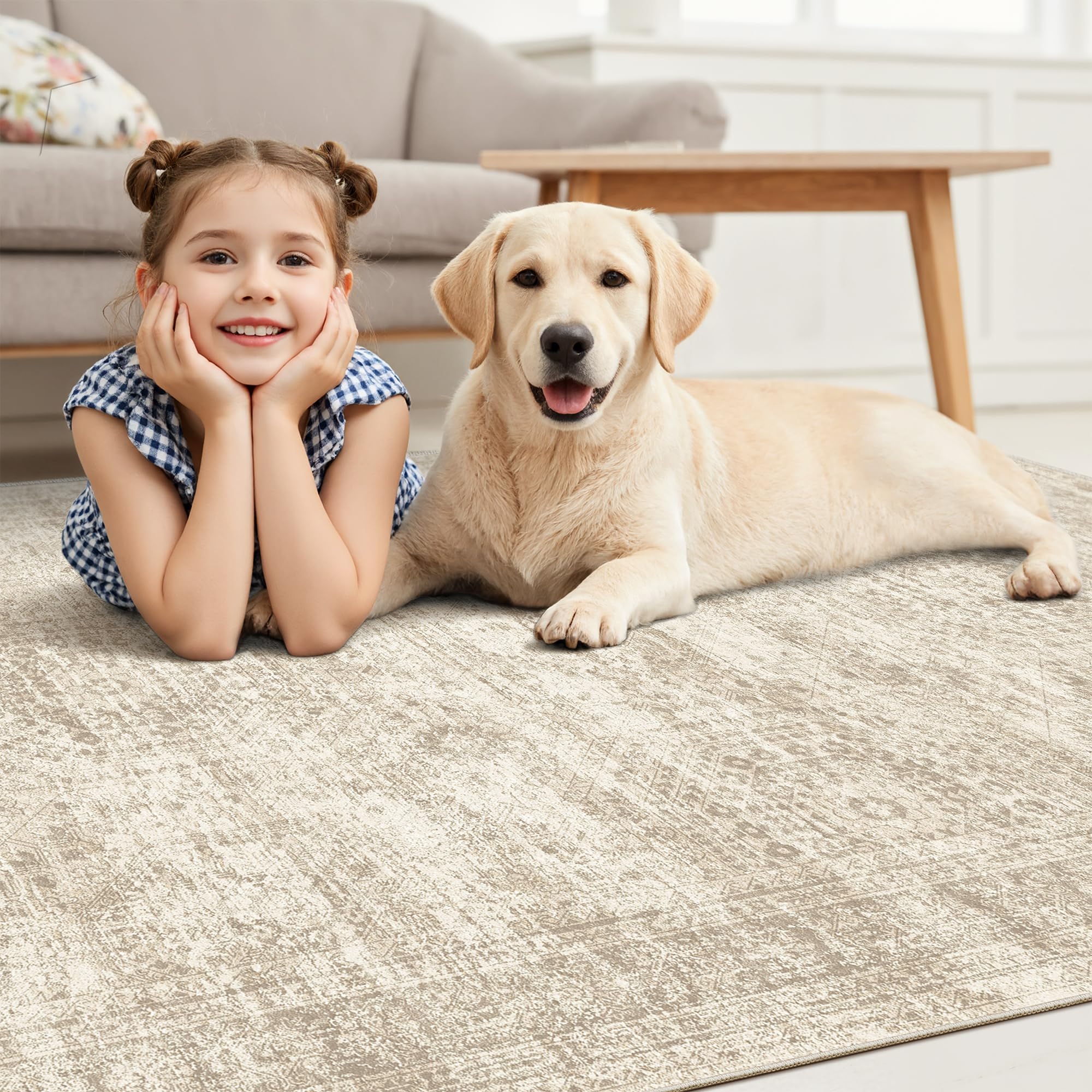 Vintage beige living room rug
