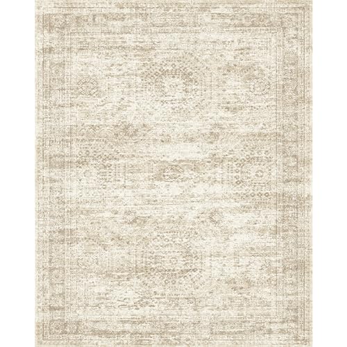 Vintage beige living room rug