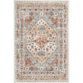 Non-Slip Backing Washable Rugs